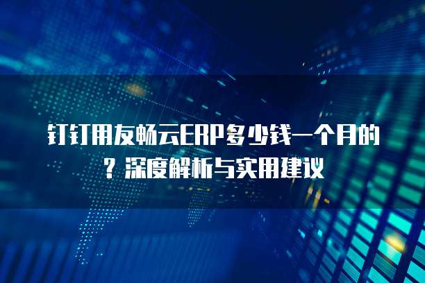 钉钉用友畅云ERP多少钱一个月的?深度解析与实用建议