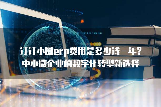 钉钉小圈erp费用是多少钱一年?中小微企业的数字化转型新选择