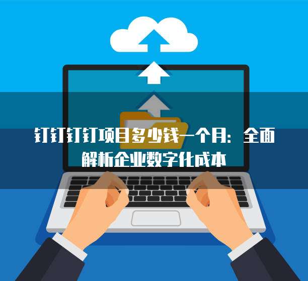 钉钉钉钉项目多少钱一个月:全面解析企业数字化成本