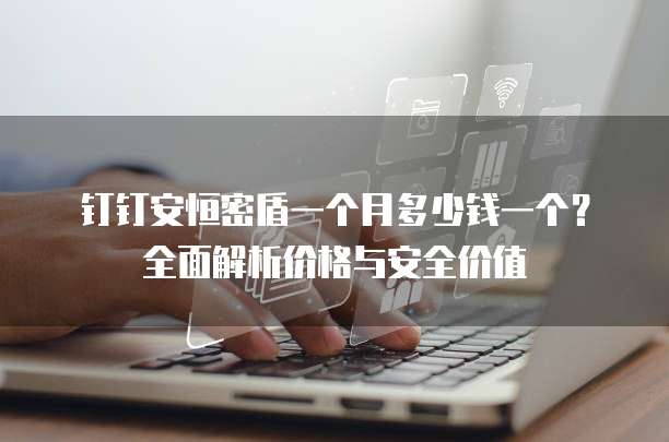 钉钉安恒密盾一个月多少钱一个?全面解析价格与安全价值
