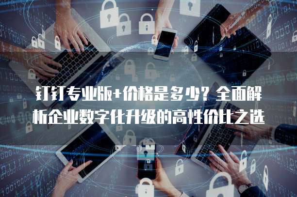 钉钉专业版+价格是多少?全面解析企业数字化升级的高性价比之选