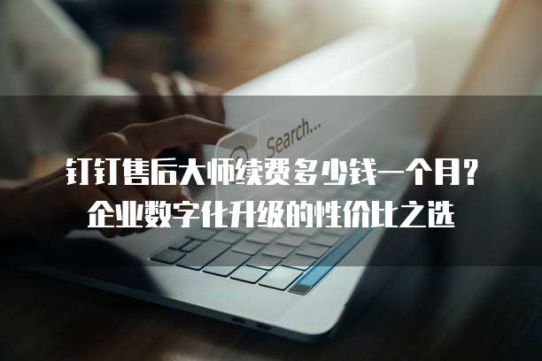 钉钉售后大师续费多少钱一个月?企业数字化升级的性价比之选
