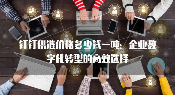 钉钉供链价格多少钱一吨:企业数字化转型的高效选择
