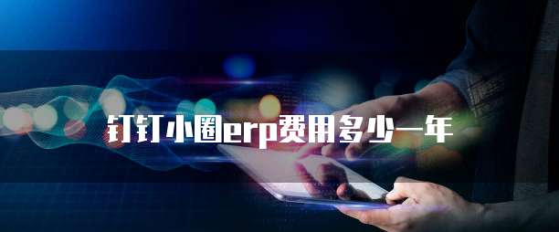 钉钉小圈erp费用多少一年