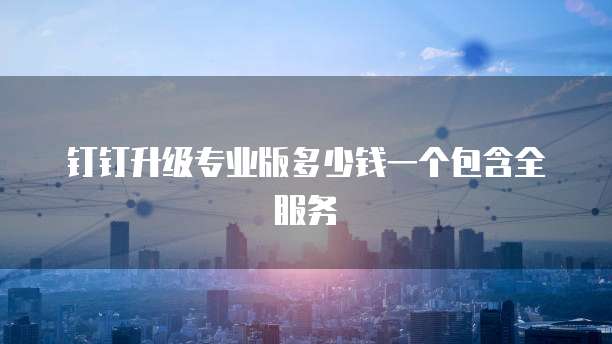 钉钉升级专业版多少钱一个包含全服务