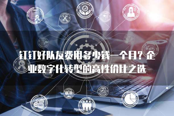 钉钉好队友费用多少钱一个月?企业数字化转型的高性价比之选