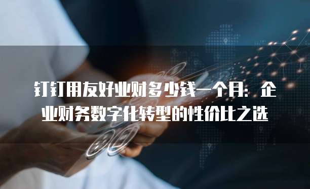 钉钉用友好业财多少钱一个月:企业财务数字化转型的性价比之选