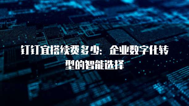 钉钉宜搭续费多少:企业数字化转型的智能选择
