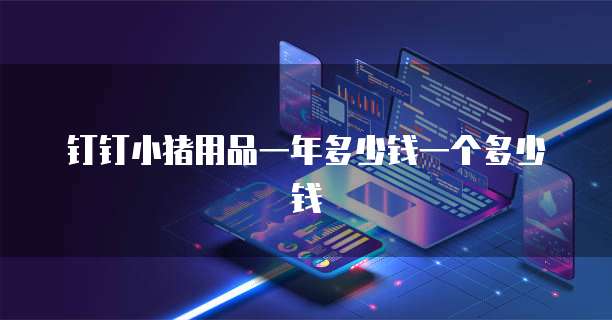 钉钉小猪用品一年多少钱一个多少钱