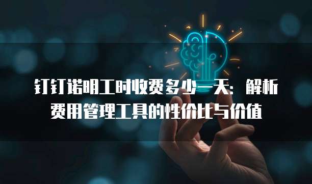 钉钉诺明工时收费多少一天:解析费用管理工具的性价比与价值