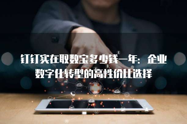 钉钉实在取数宝多少钱一年:企业数字化转型的高性价比选择