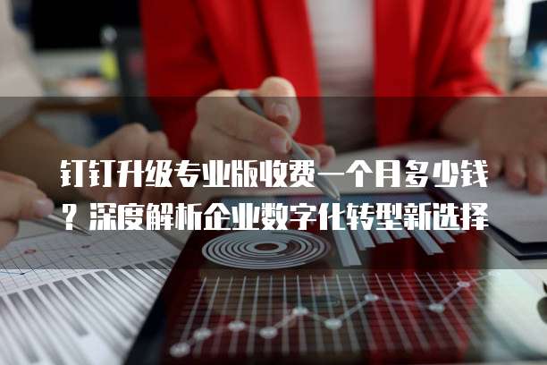钉钉升级专业版收费一个月多少钱?深度解析企业数字化转型新选择
