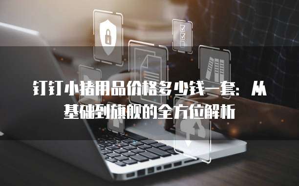 钉钉小猪用品价格多少钱一套:从基础到旗舰的全方位解析
