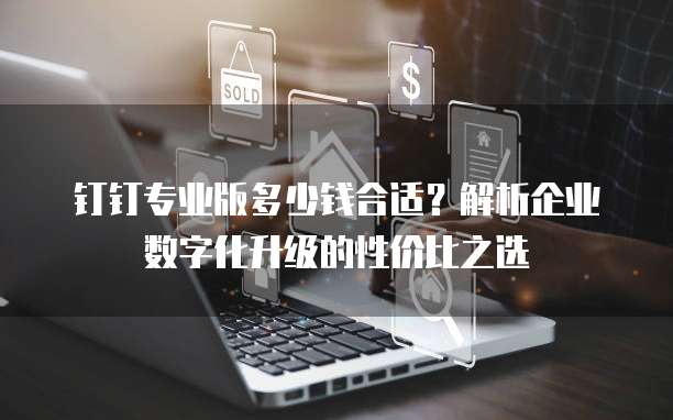 钉钉专业版多少钱合适?解析企业数字化升级的性价比之选