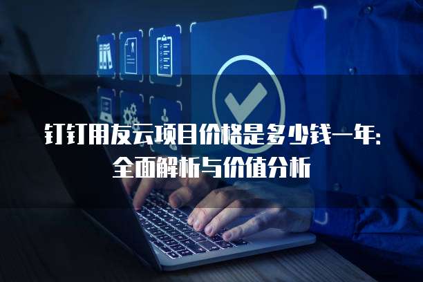 钉钉用友云项目价格是多少钱一年:全面解析与价值分析