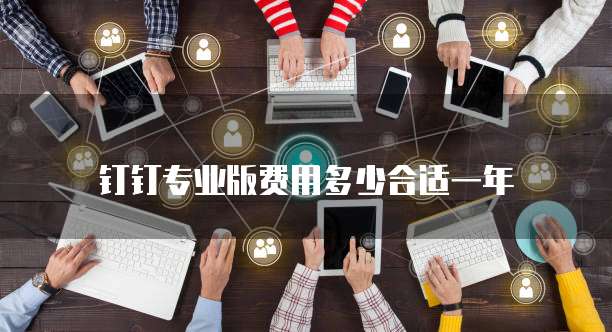 钉钉专业版费用多少合适一年