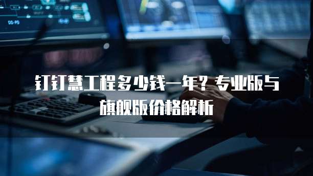 钉钉慧工程多少钱一年?专业版与旗舰版价格解析