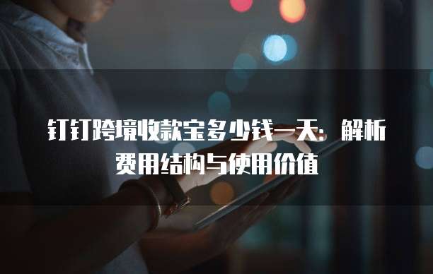 钉钉跨境收款宝多少钱一天：解析费用结构与使用价值