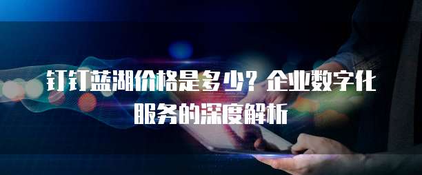 钉钉蓝湖价格是多少?企业数字化服务的深度解析