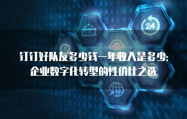 钉钉好队友多少钱一年收入是多少:企业数字化转型的性价比之选