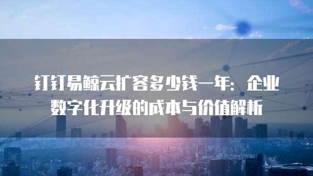 钉钉易鲸云扩容多少钱一年:企业数字化升级的成本与价值解析
