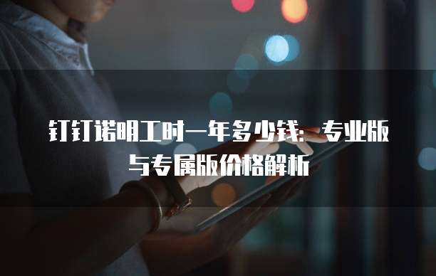 钉钉诺明工时一年多少钱：专业版与专属版价格解析