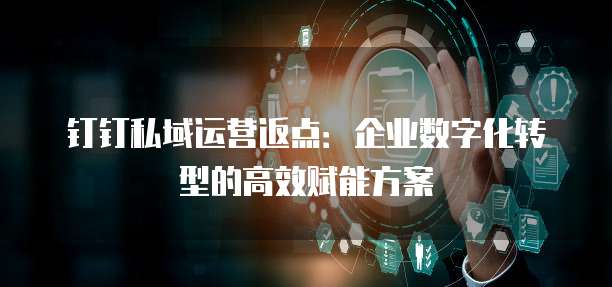 钉钉私域运营返点：企业数字化转型的高效赋能方案