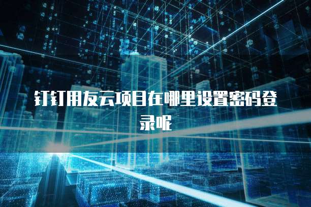 钉钉用友云项目在哪里设置密码登录呢