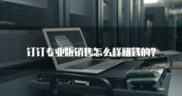 钉钉专业版销售怎么样赚钱的?