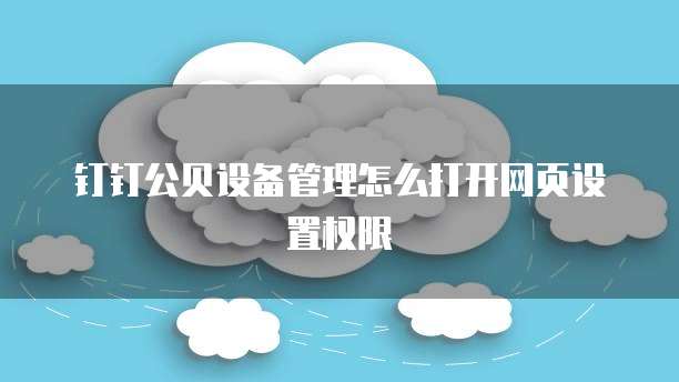 钉钉公贝设备管理怎么打开网页设置权限