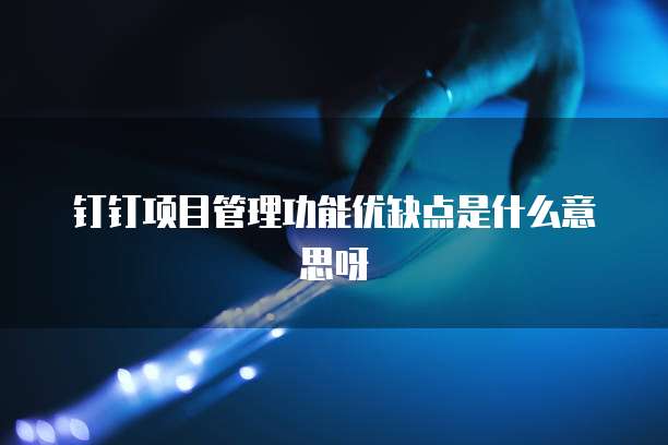 钉钉项目管理功能优缺点是什么意思呀