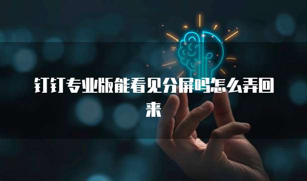 钉钉专业版能看见分屏吗怎么弄回来