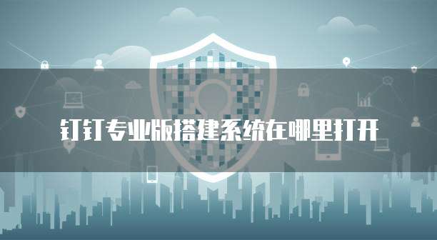 钉钉专业版搭建系统在哪里打开