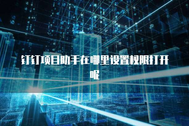 钉钉项目助手在哪里设置权限打开呢