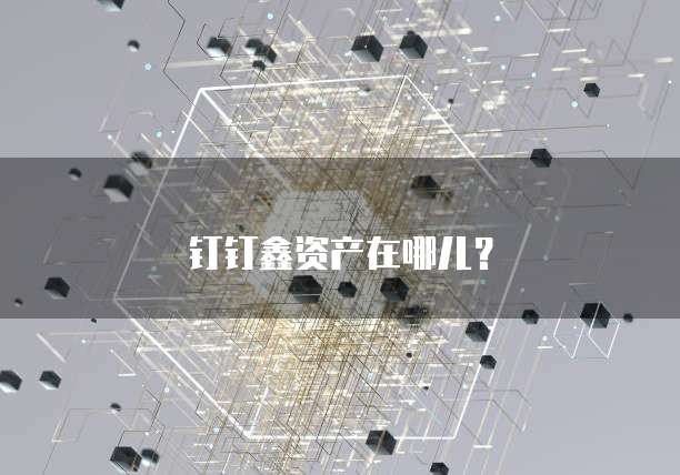 钉钉鑫资产在哪儿?