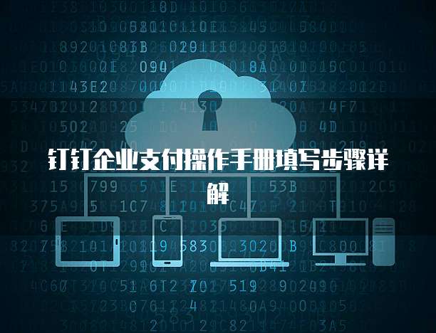 钉钉企业支付操作手册填写步骤详解