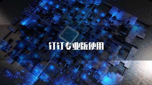 钉钉专业版使用