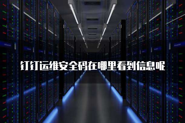 钉钉运维安全码在哪里看到信息呢