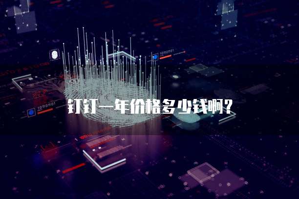 钉钉一年价格多少钱啊?
