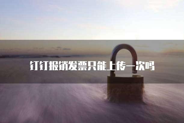 钉钉报销发票只能上传一次吗