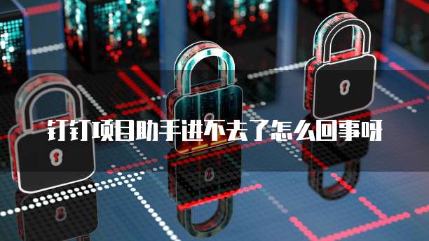 钉钉项目助手进不去了怎么回事呀