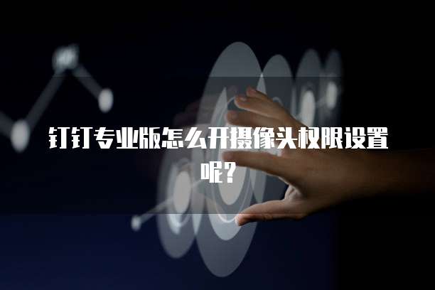 钉钉专业版怎么开摄像头权限设置呢?