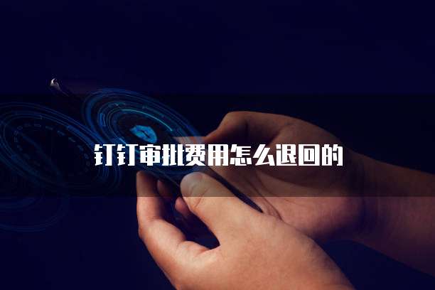 钉钉审批费用怎么退回的