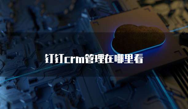 钉钉crm管理在哪里看