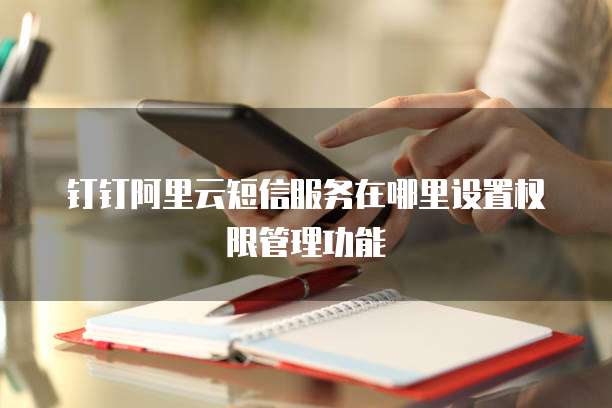 钉钉阿里云短信服务在哪里设置权限管理功能