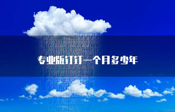 专业版钉钉一个月多少年