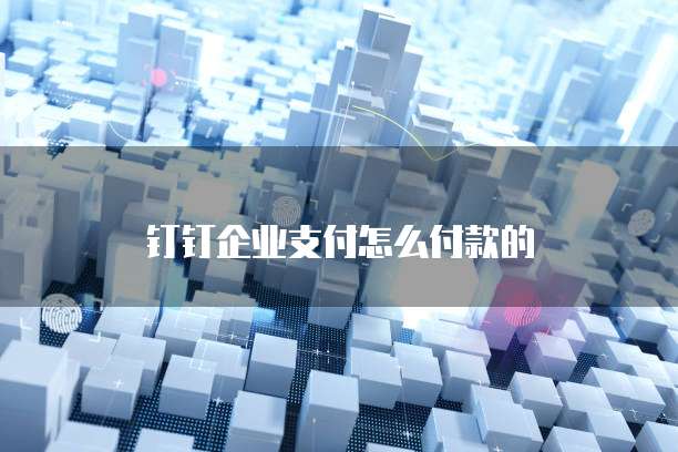 钉钉企业支付怎么付款的
