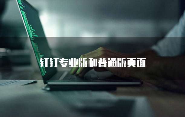 钉钉专业版和普通版页面