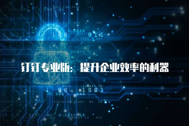 钉钉专业版:提升企业效率的利器