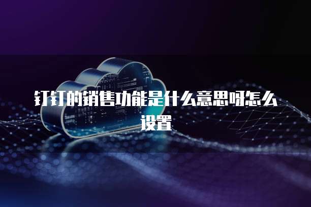 钉钉的销售功能是什么意思呀怎么设置